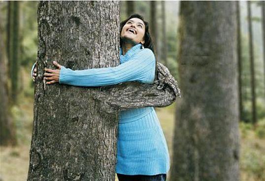 Go Green Save Trees Essay