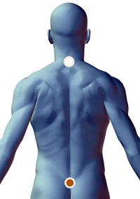 Cerotti per il mal di schiena funzionano Cerotti per il mal di schiena funzionano