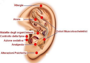 zerodiet plus auricoloterapia su fabbrica benessere