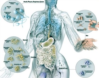 calcoli nella prostata e nella vescica sacramento calcoli nella prostata e nella vescica sacramento