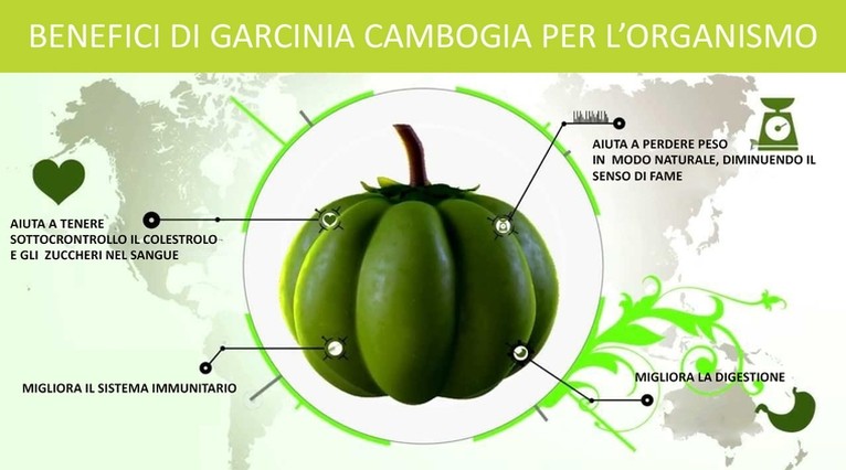 Garcinia cambogia rapid diet protein shake review photo 7